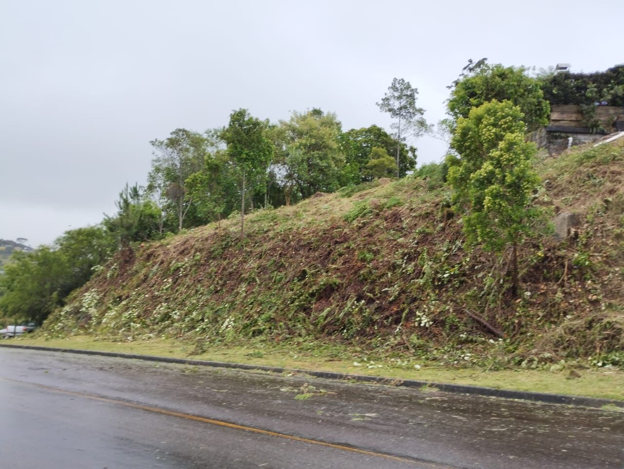 Terreno à venda, 492 - Foto 15