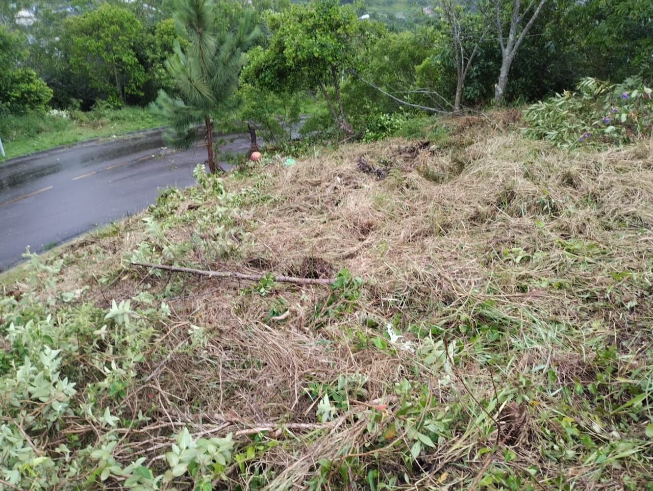 Terreno à venda, 492 - Foto 24