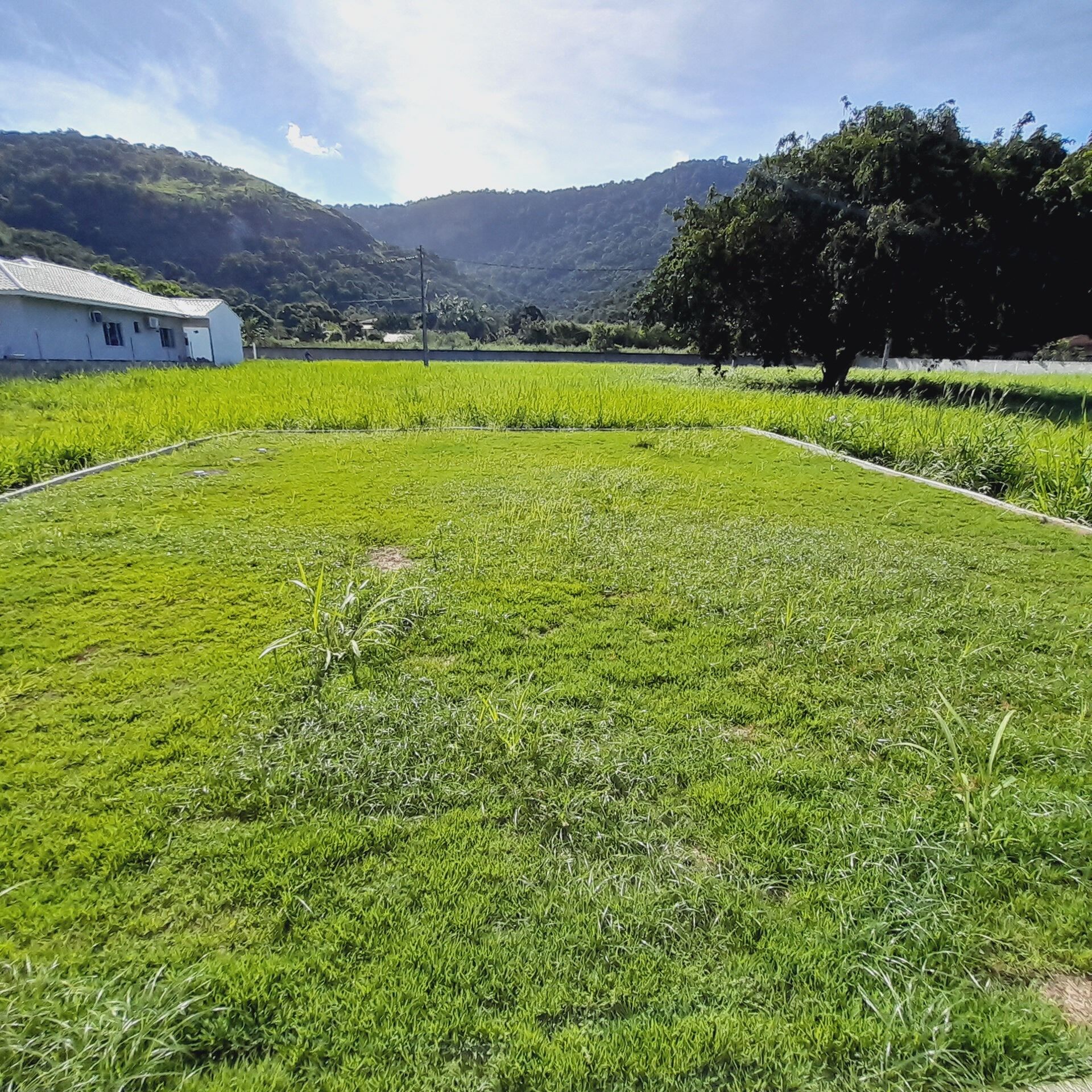 Casa de Condomínio à venda com 3 quartos, 100m² - Foto 18