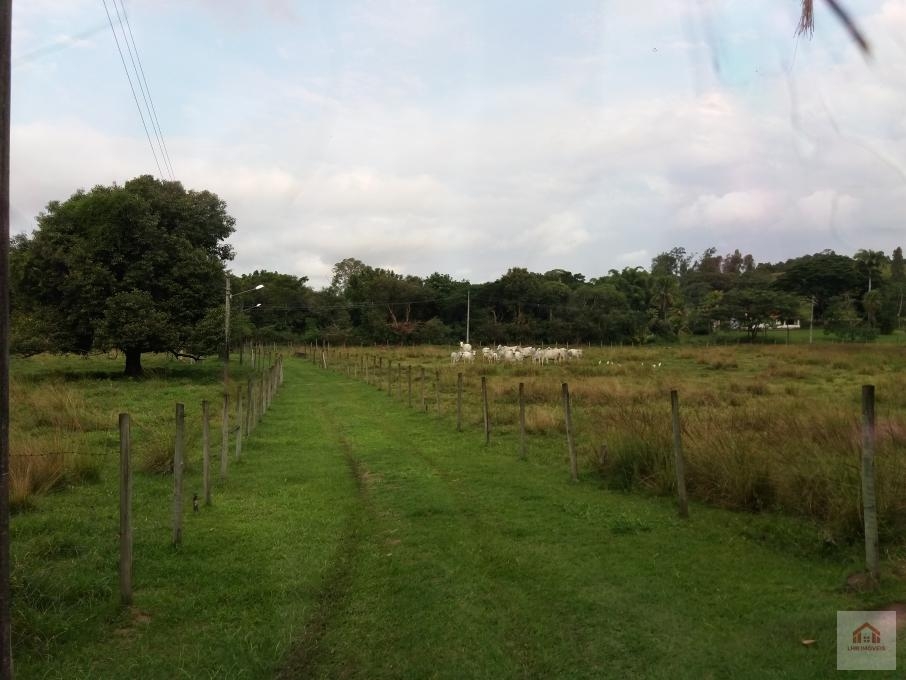 Fazenda à venda com 1 quarto, 200m² - Foto 2