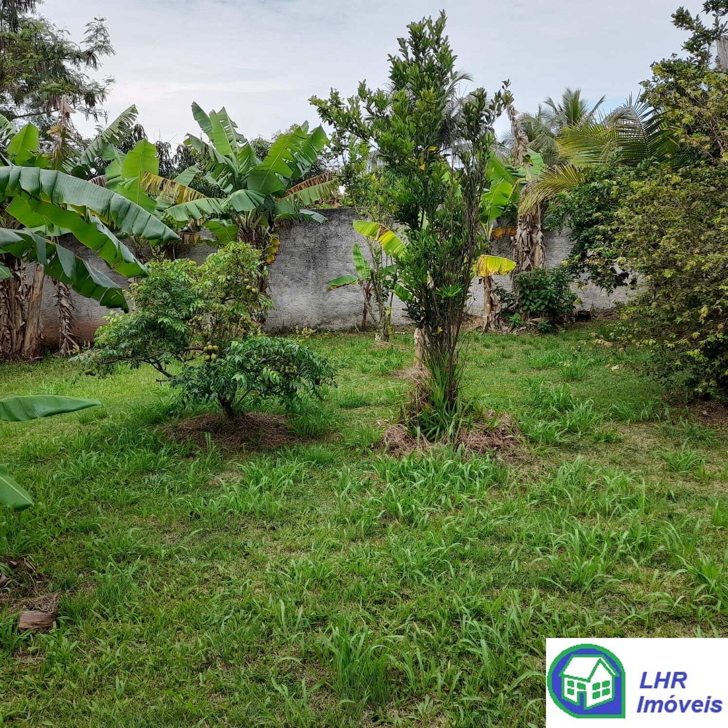 Casa, 3 quartos, 200 m² - Foto 10