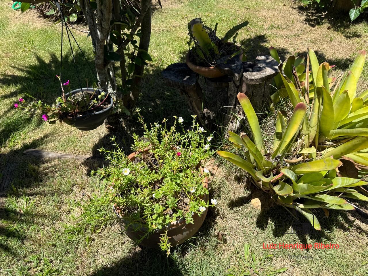 Casa, 2 quartos, 254 m² - Foto 5