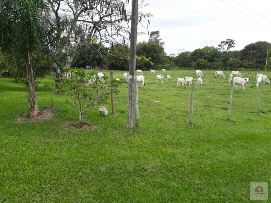 Fazenda à venda, 80000m² - Foto 2