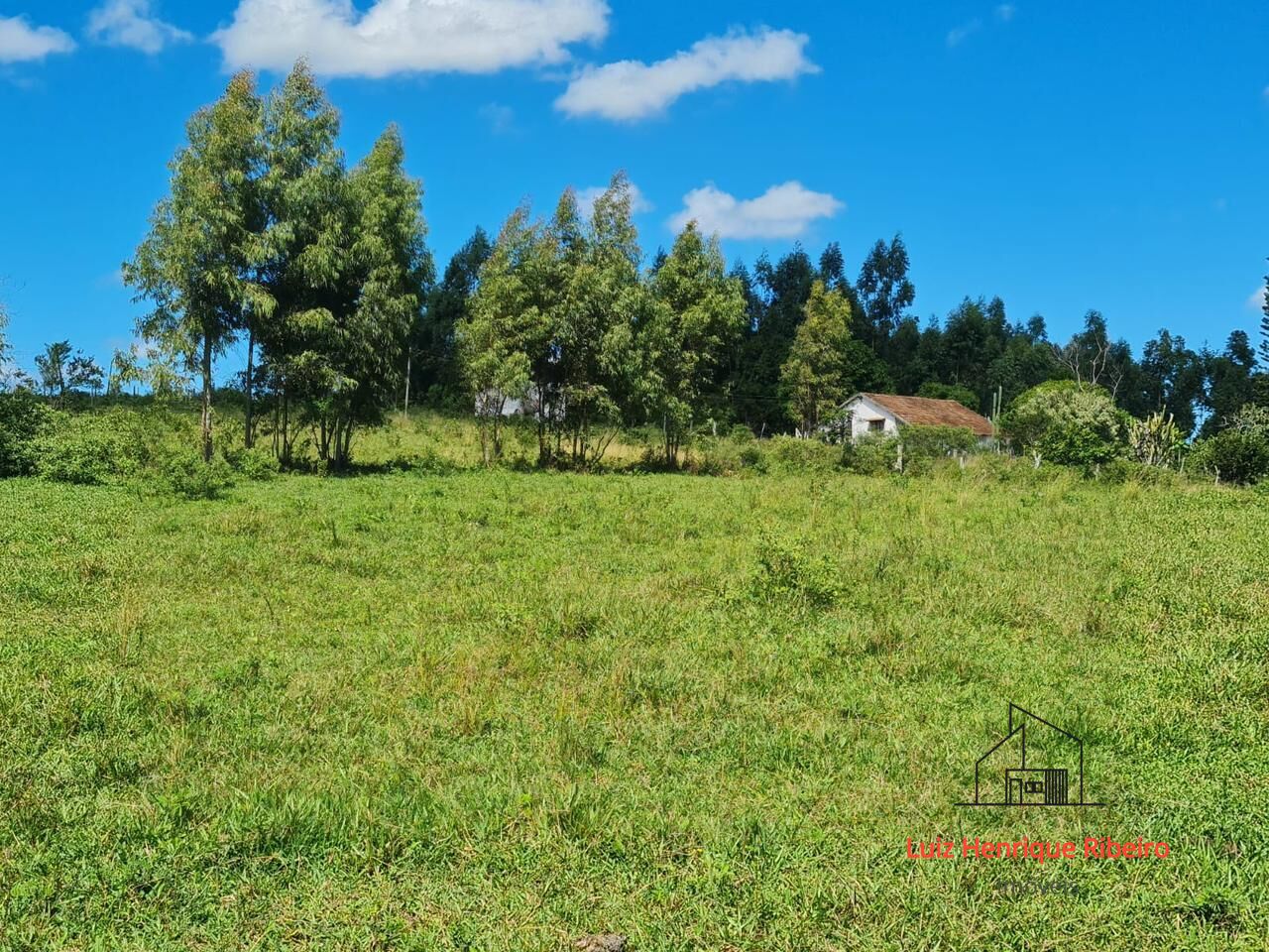 Fazenda, 52 hectares - Foto 45