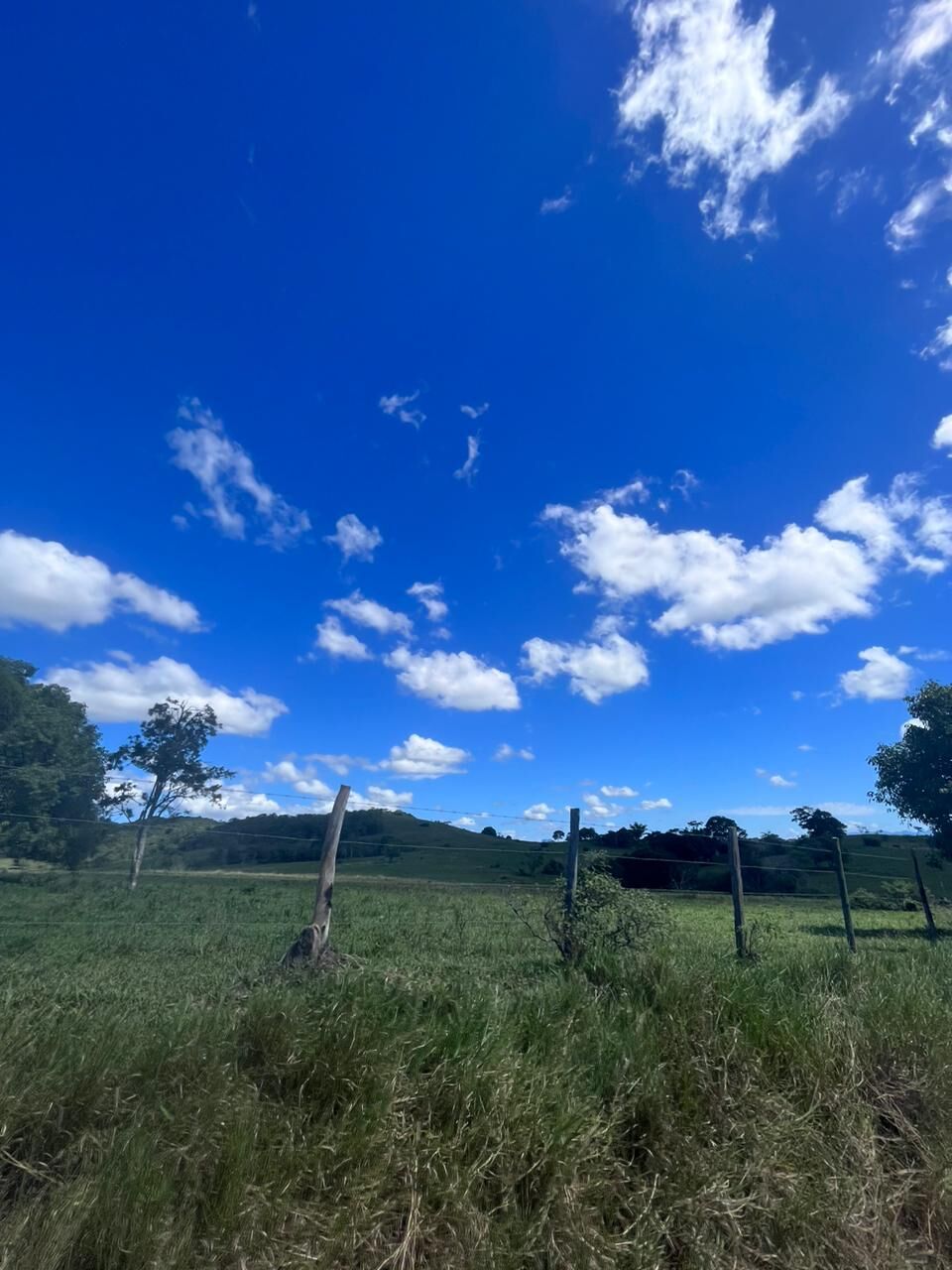Fazenda, 52 hectares - Foto 22