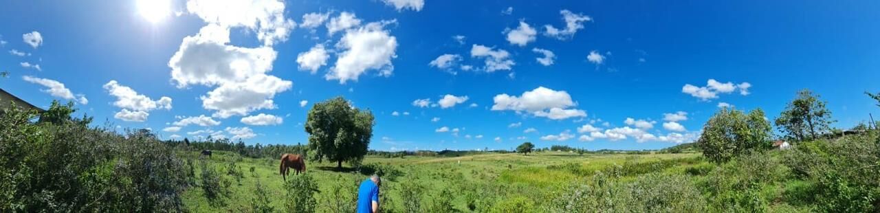 Fazenda, 52 hectares - Foto 47