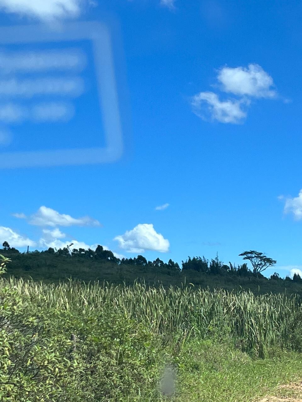 Fazenda, 52 hectares - Foto 23