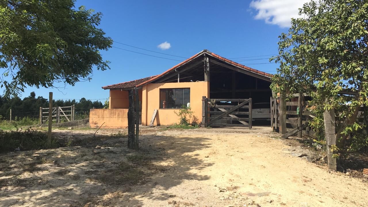 Fazenda, 52 hectares - Foto 4