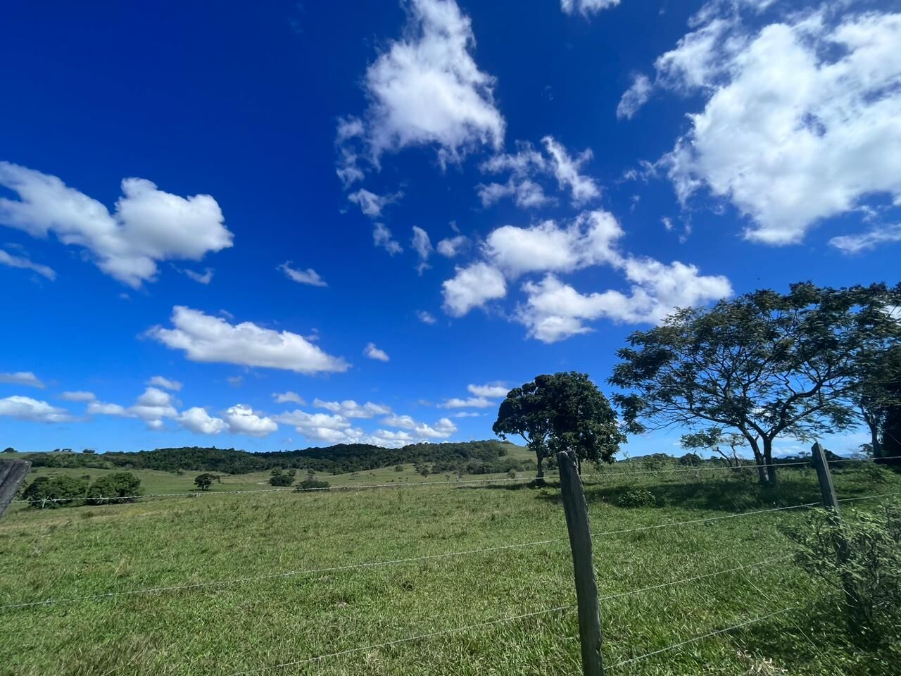 Fazenda, 52 hectares - Foto 21