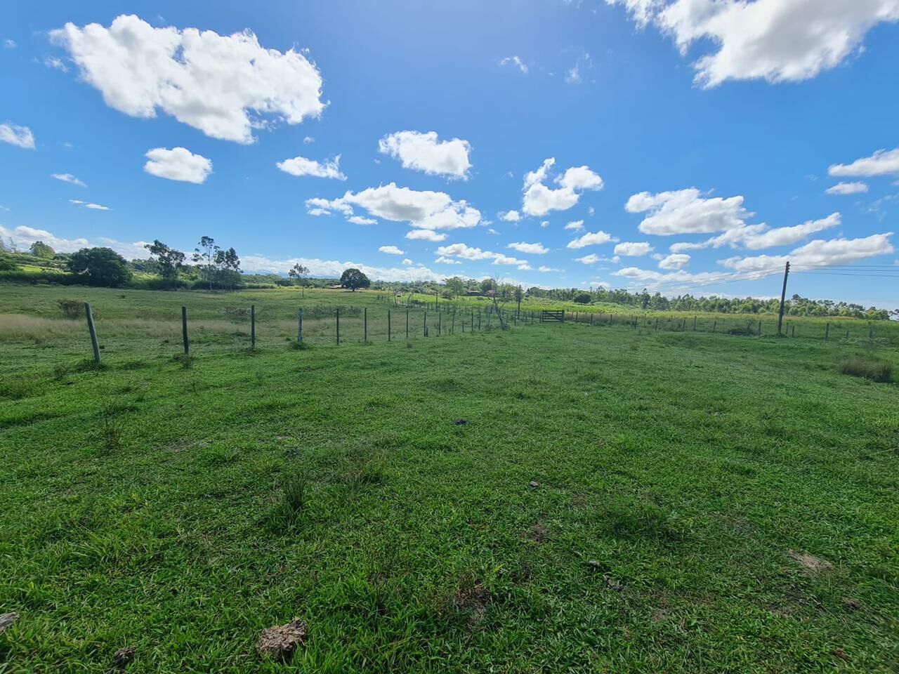Fazenda, 52 hectares - Foto 44