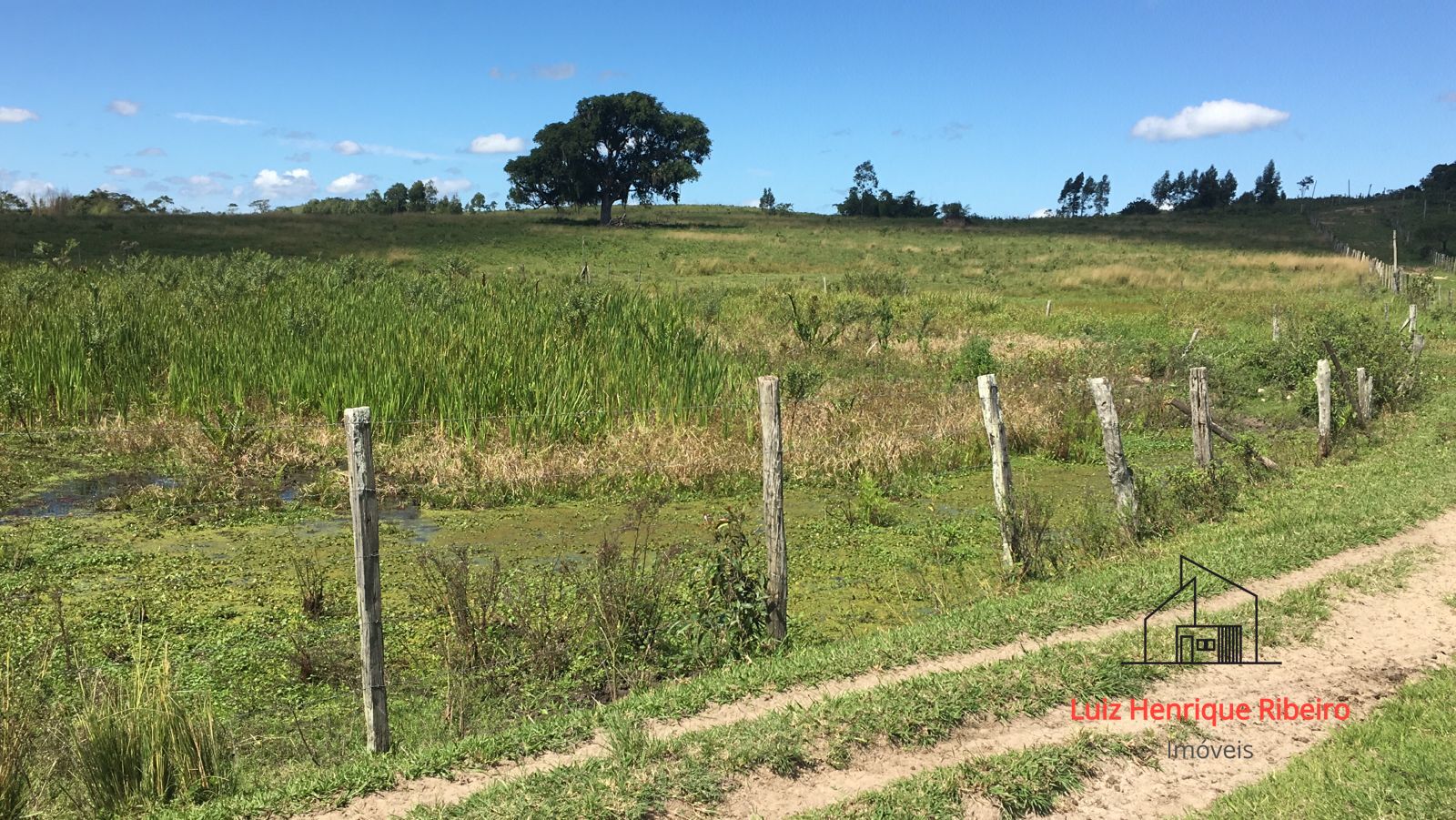 Fazenda, 52 hectares - Foto 17