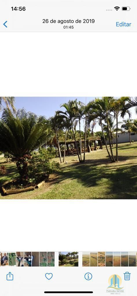 Fazenda em Silvânia/Goiás — Ref V07946 — Imagem 3