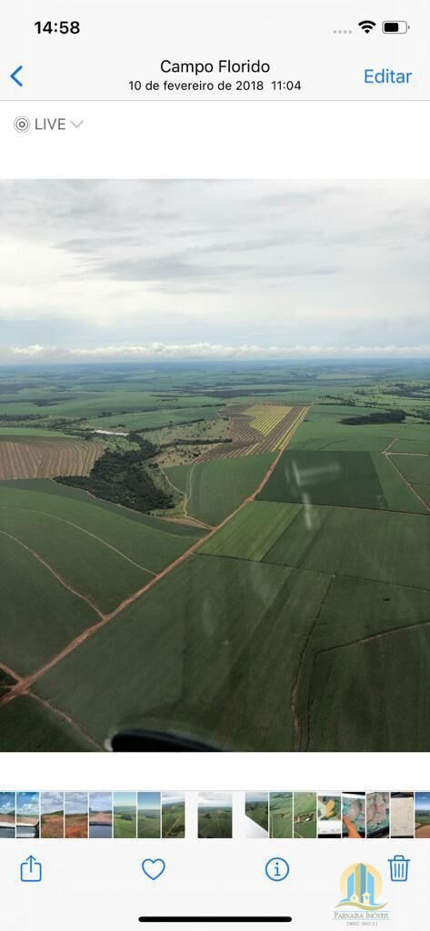 Fazenda em Silvânia/Goiás — Ref V07946 — Imagem 4