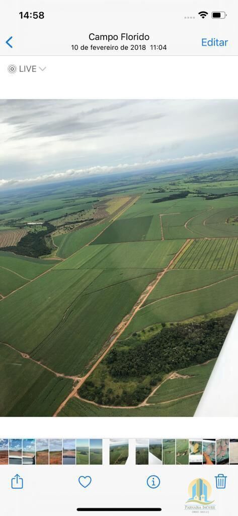 Fazenda em Silvânia/Goiás — Ref V07946 — Imagem 5