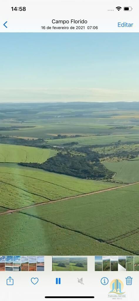 Fazenda em Silvânia/Goiás — Ref V07946 — Imagem 6