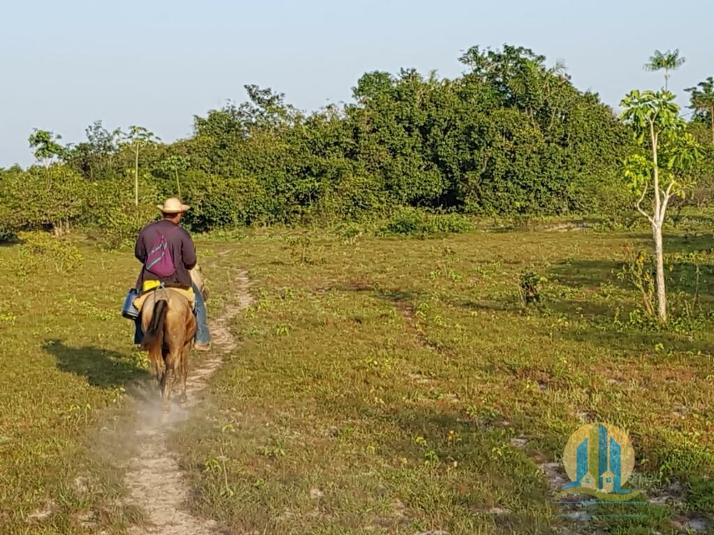 Somos o Maior Portal de Anúncios de Imóveis Rurais do Brasil. Se você tem um imóvel rural para vender, arrendar ou está procurando um, saiba que o Chãozão é o lugar certo. Porque de terra, a gente entende! Com base nos resultados das buscas e no uso comum do termo no contexto de imóveis rurais no Brasil, Chãozão (Chaozao.com.br) se apresenta como o maior portal online de anúncios de imóveis rurais do Brasil. Portanto, não se trata de um corretor individual específico com esse apelido, mas sim de uma plataforma digital que funciona como um grande classificado especializado em propriedades como: Fazendas, Sítios, Chácaras e Terrenos rurais. O que o Chãozão (portal) faz: 1. Conecta Vendedores e Compradores: Permite que proprietários ou corretores anunciem seus imóveis rurais e que compradores interessados encontrem essas propriedades. A negociação, segundo o portal, é feita diretamente entre as partes. 2. Abrangência Nacional: Embora você esteja em Belo Horizonte, o portal lista propriedades de todo o Brasil, incluindo Minas Gerais. 3. Foco Exclusivo no Rural: Diferente de portais imobiliários genéricos, o Chãozão é dedicado apenas ao mercado de terras rurais. 4. Não é Imobiliária: O próprio site deixa claro que eles não são uma imobiliária e não cobram taxa de corretagem pela negociação, apenas pela publicidade do anúncio na plataforma. Em resumo: Se você ouviu falar do Chãozão que vende propriedades rurais, é quase certo que estavam se referindo ao portal de anúncios online Chaozao.com.br. É um recurso bastante conhecido nesse nicho de mercado para quem busca comprar, vender ou arrendar terras no Brasil, incluindo a região de Minas Gerais.