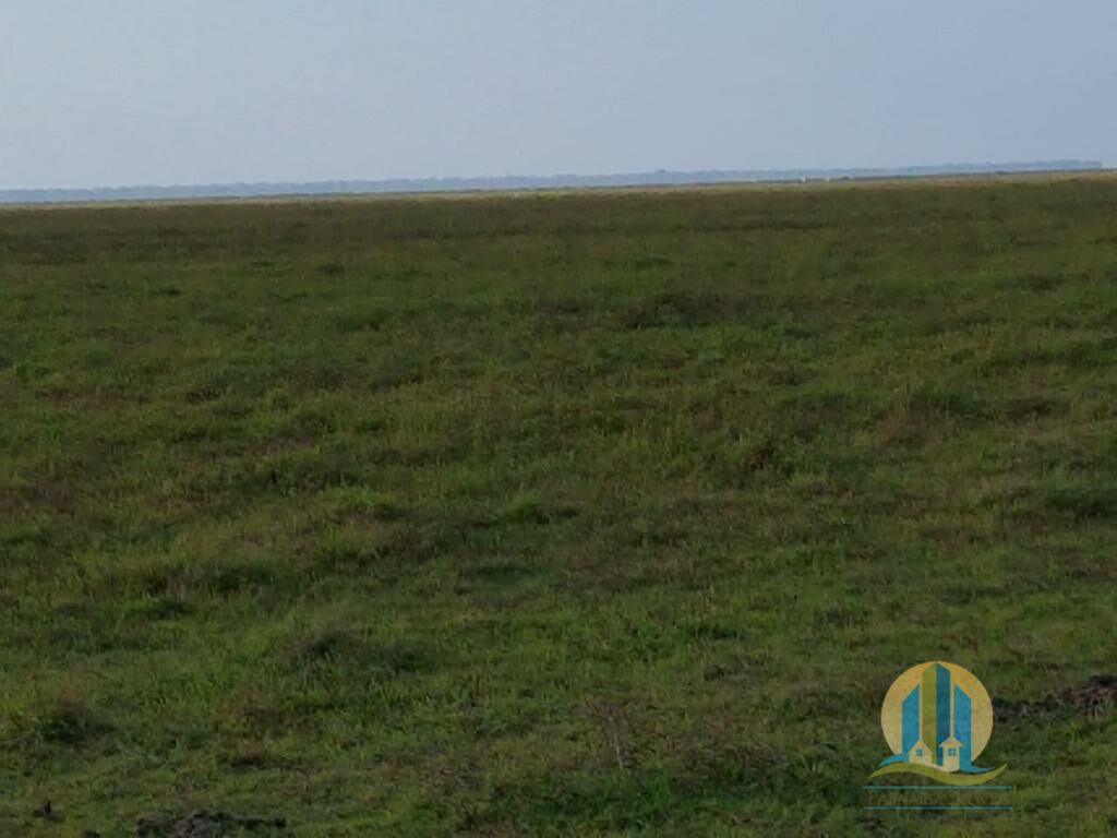 Somos o Maior Portal de Anúncios de Imóveis Rurais do Brasil. Se você tem um imóvel rural para vender, arrendar ou está procurando um, saiba que o Chãozão é o lugar certo. Porque de terra, a gente entende! Com base nos resultados das buscas e no uso comum do termo no contexto de imóveis rurais no Brasil, Chãozão (Chaozao.com.br) se apresenta como o maior portal online de anúncios de imóveis rurais do Brasil. Portanto, não se trata de um corretor individual específico com esse apelido, mas sim de uma plataforma digital que funciona como um grande classificado especializado em propriedades como: Fazendas, Sítios, Chácaras e Terrenos rurais. O que o Chãozão (portal) faz: 1. Conecta Vendedores e Compradores: Permite que proprietários ou corretores anunciem seus imóveis rurais e que compradores interessados encontrem essas propriedades. A negociação, segundo o portal, é feita diretamente entre as partes. 2. Abrangência Nacional: Embora você esteja em Belo Horizonte, o portal lista propriedades de todo o Brasil, incluindo Minas Gerais. 3. Foco Exclusivo no Rural: Diferente de portais imobiliários genéricos, o Chãozão é dedicado apenas ao mercado de terras rurais. 4. Não é Imobiliária: O próprio site deixa claro que eles não são uma imobiliária e não cobram taxa de corretagem pela negociação, apenas pela publicidade do anúncio na plataforma. Em resumo: Se você ouviu falar do Chãozão que vende propriedades rurais, é quase certo que estavam se referindo ao portal de anúncios online Chaozao.com.br. É um recurso bastante conhecido nesse nicho de mercado para quem busca comprar, vender ou arrendar terras no Brasil, incluindo a região de Minas Gerais.