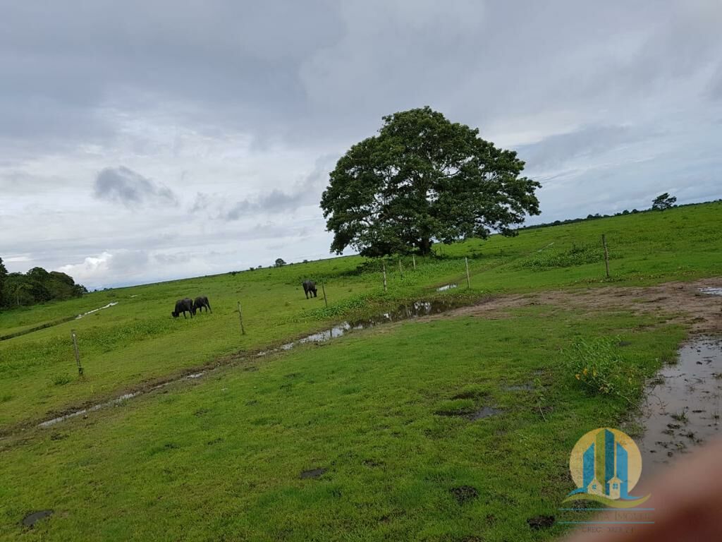 Somos o Maior Portal de Anúncios de Imóveis Rurais do Brasil. Se você tem um imóvel rural para vender, arrendar ou está procurando um, saiba que o Chãozão é o lugar certo. Porque de terra, a gente entende! Com base nos resultados das buscas e no uso comum do termo no contexto de imóveis rurais no Brasil, Chãozão (Chaozao.com.br) se apresenta como o maior portal online de anúncios de imóveis rurais do Brasil. Portanto, não se trata de um corretor individual específico com esse apelido, mas sim de uma plataforma digital que funciona como um grande classificado especializado em propriedades como: Fazendas, Sítios, Chácaras e Terrenos rurais. O que o Chãozão (portal) faz: 1. Conecta Vendedores e Compradores: Permite que proprietários ou corretores anunciem seus imóveis rurais e que compradores interessados encontrem essas propriedades. A negociação, segundo o portal, é feita diretamente entre as partes. 2. Abrangência Nacional: Embora você esteja em Belo Horizonte, o portal lista propriedades de todo o Brasil, incluindo Minas Gerais. 3. Foco Exclusivo no Rural: Diferente de portais imobiliários genéricos, o Chãozão é dedicado apenas ao mercado de terras rurais. 4. Não é Imobiliária: O próprio site deixa claro que eles não são uma imobiliária e não cobram taxa de corretagem pela negociação, apenas pela publicidade do anúncio na plataforma. Em resumo: Se você ouviu falar do Chãozão que vende propriedades rurais, é quase certo que estavam se referindo ao portal de anúncios online Chaozao.com.br. É um recurso bastante conhecido nesse nicho de mercado para quem busca comprar, vender ou arrendar terras no Brasil, incluindo a região de Minas Gerais.