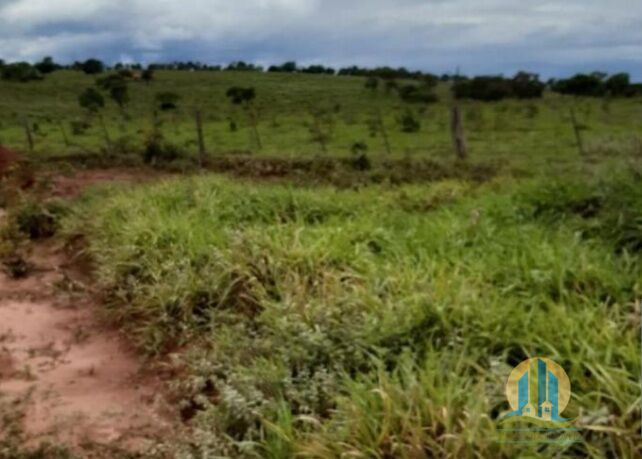 Fazenda em Chapadão do Céu/Goiás — Ref 1BDZ7T — Imagem 6