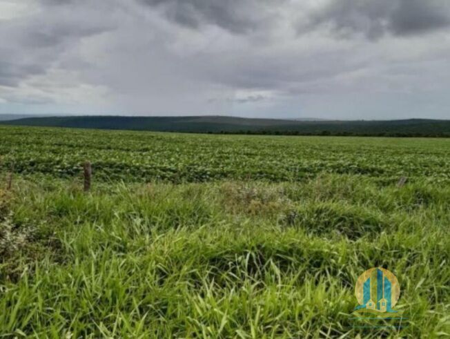 Fazenda em Chapadão do Céu/Goiás — Ref 1BDZ7T — Imagem 5