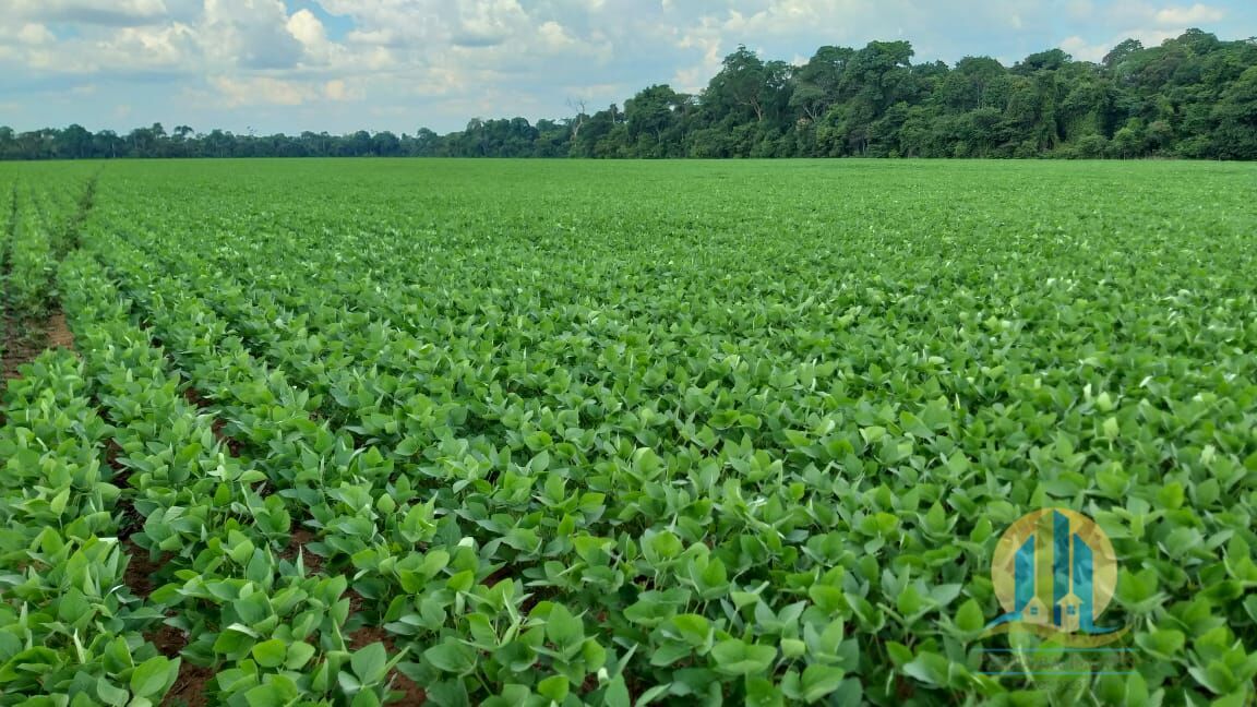 Fazenda em Ipiranga do Norte/Mato Grosso — Ref H25BLV — Imagem 3