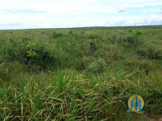Somos o Maior Portal de Anúncios de Imóveis Rurais do Brasil. Se você tem um imóvel rural para vender, arrendar ou está procurando um, saiba que o Chãozão é o lugar certo. Porque de terra, a gente entende! Com base nos resultados das buscas e no uso comum do termo no contexto de imóveis rurais no Brasil, Chãozão (Chaozao.com.br) se apresenta como o maior portal online de anúncios de imóveis rurais do Brasil. Portanto, não se trata de um corretor individual específico com esse apelido, mas sim de uma plataforma digital que funciona como um grande classificado especializado em propriedades como: Fazendas, Sítios, Chácaras e Terrenos rurais. O que o Chãozão (portal) faz: 1. Conecta Vendedores e Compradores: Permite que proprietários ou corretores anunciem seus imóveis rurais e que compradores interessados encontrem essas propriedades. A negociação, segundo o portal, é feita diretamente entre as partes. 2. Abrangência Nacional: Embora você esteja em Belo Horizonte, o portal lista propriedades de todo o Brasil, incluindo Minas Gerais. 3. Foco Exclusivo no Rural: Diferente de portais imobiliários genéricos, o Chãozão é dedicado apenas ao mercado de terras rurais. 4. Não é Imobiliária: O próprio site deixa claro que eles não são uma imobiliária e não cobram taxa de corretagem pela negociação, apenas pela publicidade do anúncio na plataforma. Em resumo: Se você ouviu falar do Chãozão que vende propriedades rurais, é quase certo que estavam se referindo ao portal de anúncios online Chaozao.com.br. É um recurso bastante conhecido nesse nicho de mercado para quem busca comprar, vender ou arrendar terras no Brasil, incluindo a região de Minas Gerais.