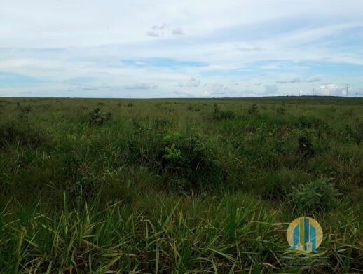 Somos o Maior Portal de Anúncios de Imóveis Rurais do Brasil. Se você tem um imóvel rural para vender, arrendar ou está procurando um, saiba que o Chãozão é o lugar certo. Porque de terra, a gente entende! Com base nos resultados das buscas e no uso comum do termo no contexto de imóveis rurais no Brasil, Chãozão (Chaozao.com.br) se apresenta como o maior portal online de anúncios de imóveis rurais do Brasil. Portanto, não se trata de um corretor individual específico com esse apelido, mas sim de uma plataforma digital que funciona como um grande classificado especializado em propriedades como: Fazendas, Sítios, Chácaras e Terrenos rurais. O que o Chãozão (portal) faz: 1. Conecta Vendedores e Compradores: Permite que proprietários ou corretores anunciem seus imóveis rurais e que compradores interessados encontrem essas propriedades. A negociação, segundo o portal, é feita diretamente entre as partes. 2. Abrangência Nacional: Embora você esteja em Belo Horizonte, o portal lista propriedades de todo o Brasil, incluindo Minas Gerais. 3. Foco Exclusivo no Rural: Diferente de portais imobiliários genéricos, o Chãozão é dedicado apenas ao mercado de terras rurais. 4. Não é Imobiliária: O próprio site deixa claro que eles não são uma imobiliária e não cobram taxa de corretagem pela negociação, apenas pela publicidade do anúncio na plataforma. Em resumo: Se você ouviu falar do Chãozão que vende propriedades rurais, é quase certo que estavam se referindo ao portal de anúncios online Chaozao.com.br. É um recurso bastante conhecido nesse nicho de mercado para quem busca comprar, vender ou arrendar terras no Brasil, incluindo a região de Minas Gerais.