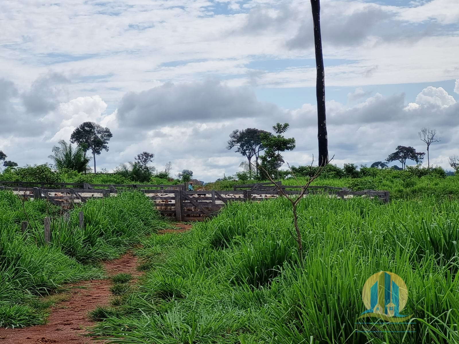 Somos o Maior Portal de Anúncios de Imóveis Rurais do Brasil. Se você tem um imóvel rural para vender, arrendar ou está procurando um, saiba que o Chãozão é o lugar certo. Porque de terra, a gente entende! Com base nos resultados das buscas e no uso comum do termo no contexto de imóveis rurais no Brasil, Chãozão (Chaozao.com.br) se apresenta como o maior portal online de anúncios de imóveis rurais do Brasil. Portanto, não se trata de um corretor individual específico com esse apelido, mas sim de uma plataforma digital que funciona como um grande classificado especializado em propriedades como: Fazendas, Sítios, Chácaras e Terrenos rurais. O que o Chãozão (portal) faz: 1. Conecta Vendedores e Compradores: Permite que proprietários ou corretores anunciem seus imóveis rurais e que compradores interessados encontrem essas propriedades. A negociação, segundo o portal, é feita diretamente entre as partes. 2. Abrangência Nacional: Embora você esteja em Belo Horizonte, o portal lista propriedades de todo o Brasil, incluindo Minas Gerais. 3. Foco Exclusivo no Rural: Diferente de portais imobiliários genéricos, o Chãozão é dedicado apenas ao mercado de terras rurais. 4. Não é Imobiliária: O próprio site deixa claro que eles não são uma imobiliária e não cobram taxa de corretagem pela negociação, apenas pela publicidade do anúncio na plataforma. Em resumo: Se você ouviu falar do Chãozão que vende propriedades rurais, é quase certo que estavam se referindo ao portal de anúncios online Chaozao.com.br. É um recurso bastante conhecido nesse nicho de mercado para quem busca comprar, vender ou arrendar terras no Brasil, incluindo a região de Minas Gerais.