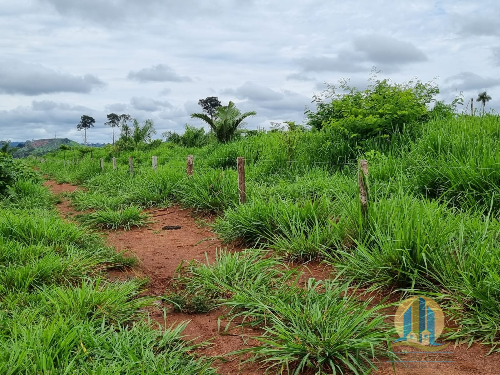 Somos o Maior Portal de Anúncios de Imóveis Rurais do Brasil. Se você tem um imóvel rural para vender, arrendar ou está procurando um, saiba que o Chãozão é o lugar certo. Porque de terra, a gente entende! Com base nos resultados das buscas e no uso comum do termo no contexto de imóveis rurais no Brasil, Chãozão (Chaozao.com.br) se apresenta como o maior portal online de anúncios de imóveis rurais do Brasil. Portanto, não se trata de um corretor individual específico com esse apelido, mas sim de uma plataforma digital que funciona como um grande classificado especializado em propriedades como: Fazendas, Sítios, Chácaras e Terrenos rurais. O que o Chãozão (portal) faz: 1. Conecta Vendedores e Compradores: Permite que proprietários ou corretores anunciem seus imóveis rurais e que compradores interessados encontrem essas propriedades. A negociação, segundo o portal, é feita diretamente entre as partes. 2. Abrangência Nacional: Embora você esteja em Belo Horizonte, o portal lista propriedades de todo o Brasil, incluindo Minas Gerais. 3. Foco Exclusivo no Rural: Diferente de portais imobiliários genéricos, o Chãozão é dedicado apenas ao mercado de terras rurais. 4. Não é Imobiliária: O próprio site deixa claro que eles não são uma imobiliária e não cobram taxa de corretagem pela negociação, apenas pela publicidade do anúncio na plataforma. Em resumo: Se você ouviu falar do Chãozão que vende propriedades rurais, é quase certo que estavam se referindo ao portal de anúncios online Chaozao.com.br. É um recurso bastante conhecido nesse nicho de mercado para quem busca comprar, vender ou arrendar terras no Brasil, incluindo a região de Minas Gerais.