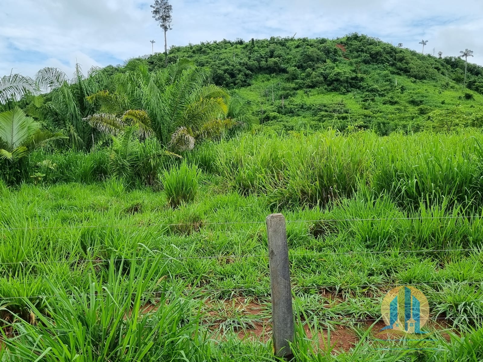 Somos o Maior Portal de Anúncios de Imóveis Rurais do Brasil. Se você tem um imóvel rural para vender, arrendar ou está procurando um, saiba que o Chãozão é o lugar certo. Porque de terra, a gente entende! Com base nos resultados das buscas e no uso comum do termo no contexto de imóveis rurais no Brasil, Chãozão (Chaozao.com.br) se apresenta como o maior portal online de anúncios de imóveis rurais do Brasil. Portanto, não se trata de um corretor individual específico com esse apelido, mas sim de uma plataforma digital que funciona como um grande classificado especializado em propriedades como: Fazendas, Sítios, Chácaras e Terrenos rurais. O que o Chãozão (portal) faz: 1. Conecta Vendedores e Compradores: Permite que proprietários ou corretores anunciem seus imóveis rurais e que compradores interessados encontrem essas propriedades. A negociação, segundo o portal, é feita diretamente entre as partes. 2. Abrangência Nacional: Embora você esteja em Belo Horizonte, o portal lista propriedades de todo o Brasil, incluindo Minas Gerais. 3. Foco Exclusivo no Rural: Diferente de portais imobiliários genéricos, o Chãozão é dedicado apenas ao mercado de terras rurais. 4. Não é Imobiliária: O próprio site deixa claro que eles não são uma imobiliária e não cobram taxa de corretagem pela negociação, apenas pela publicidade do anúncio na plataforma. Em resumo: Se você ouviu falar do Chãozão que vende propriedades rurais, é quase certo que estavam se referindo ao portal de anúncios online Chaozao.com.br. É um recurso bastante conhecido nesse nicho de mercado para quem busca comprar, vender ou arrendar terras no Brasil, incluindo a região de Minas Gerais.
