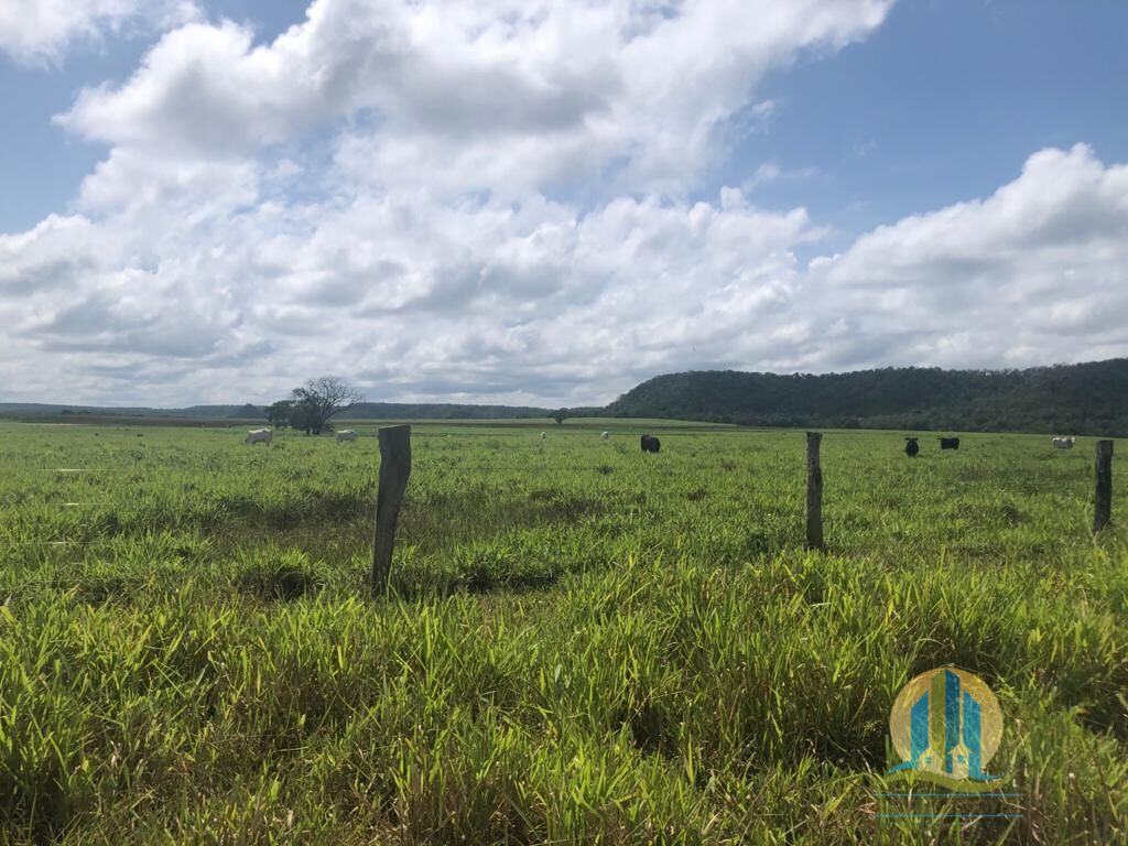 Fazenda em Barra do Ouro/Tocantins — Ref WF5H9P — Imagem 10