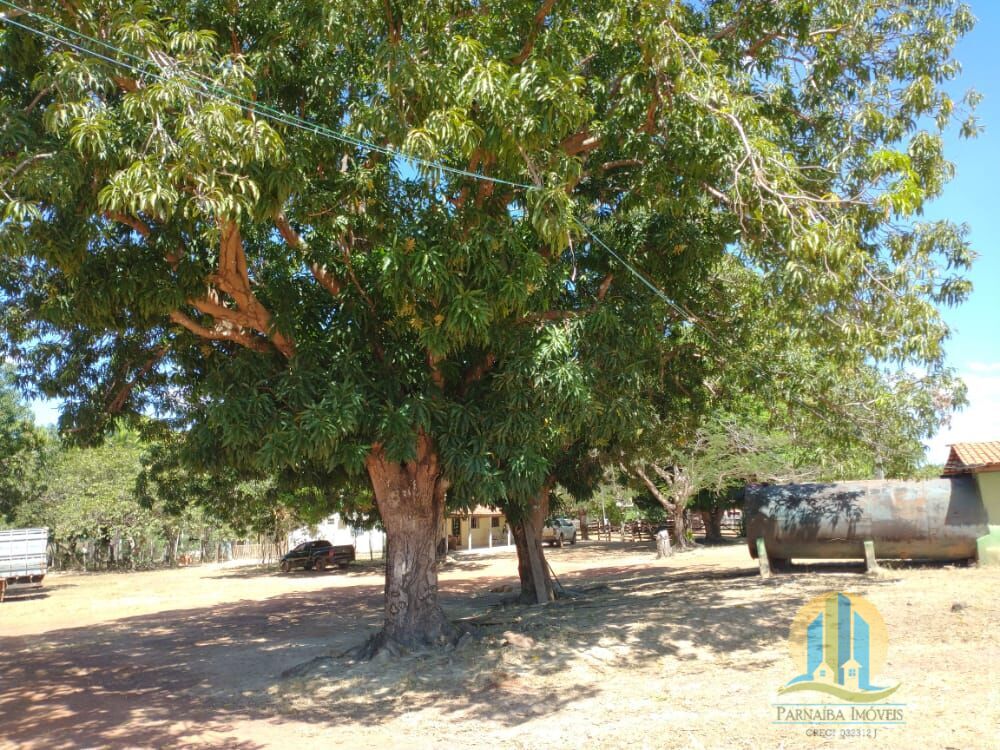 Fazenda em Barra do Ouro/Tocantins — Ref WF5H9P — Imagem 30