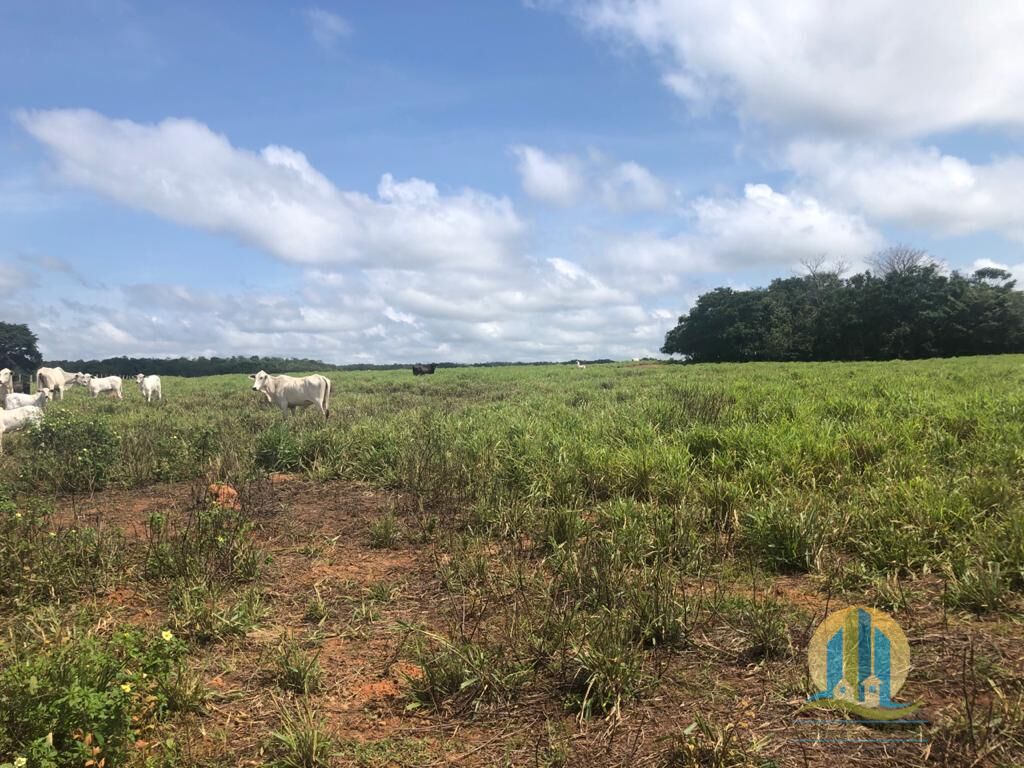 Fazenda em Barra do Ouro/Tocantins — Ref WF5H9P — Imagem 11