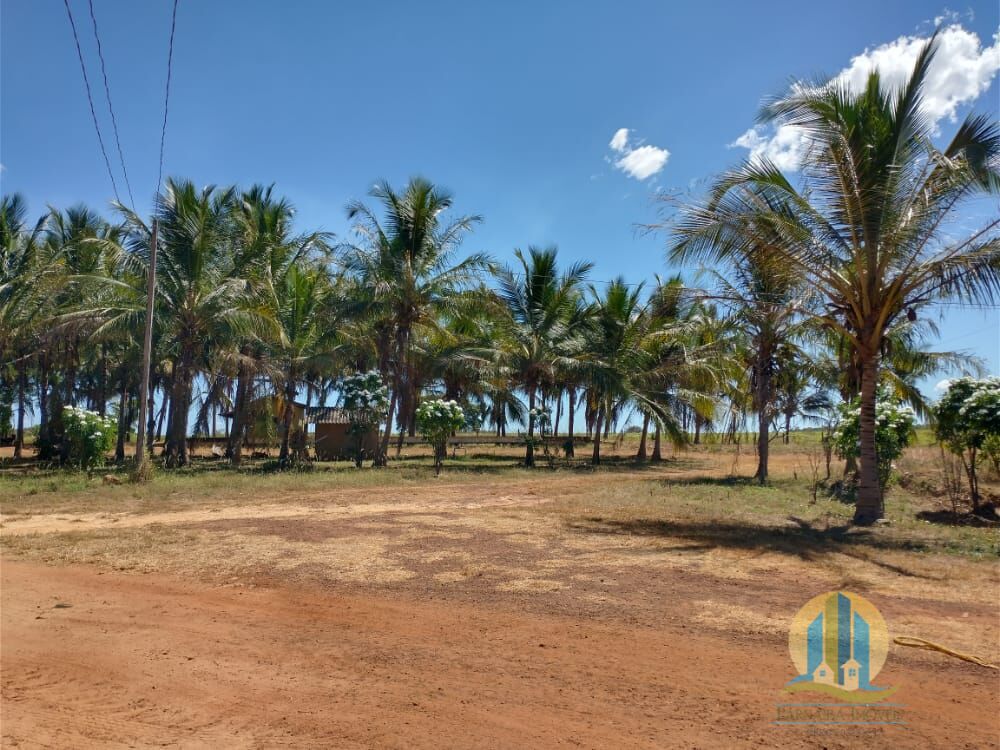 Fazenda em Barra do Ouro/Tocantins — Ref WF5H9P — Imagem 32