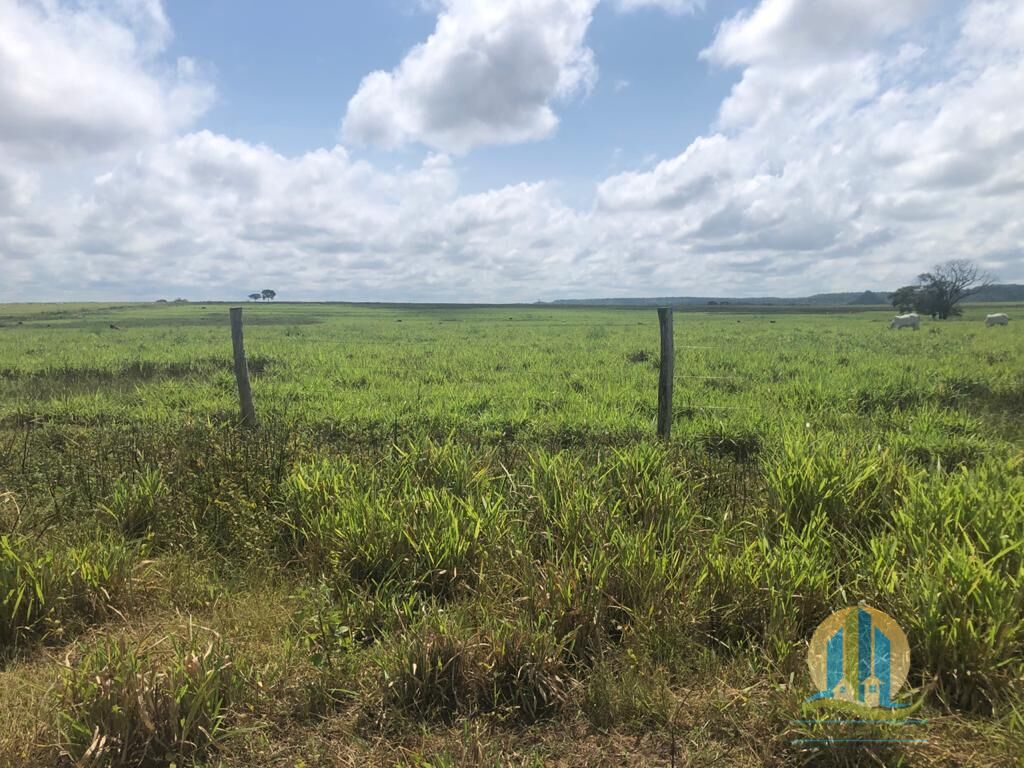 Fazenda em Barra do Ouro/Tocantins — Ref WF5H9P — Imagem 3