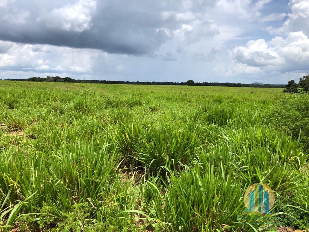 Fazenda em Barra do Ouro/Tocantins — Ref WF5H9P — Imagem 20