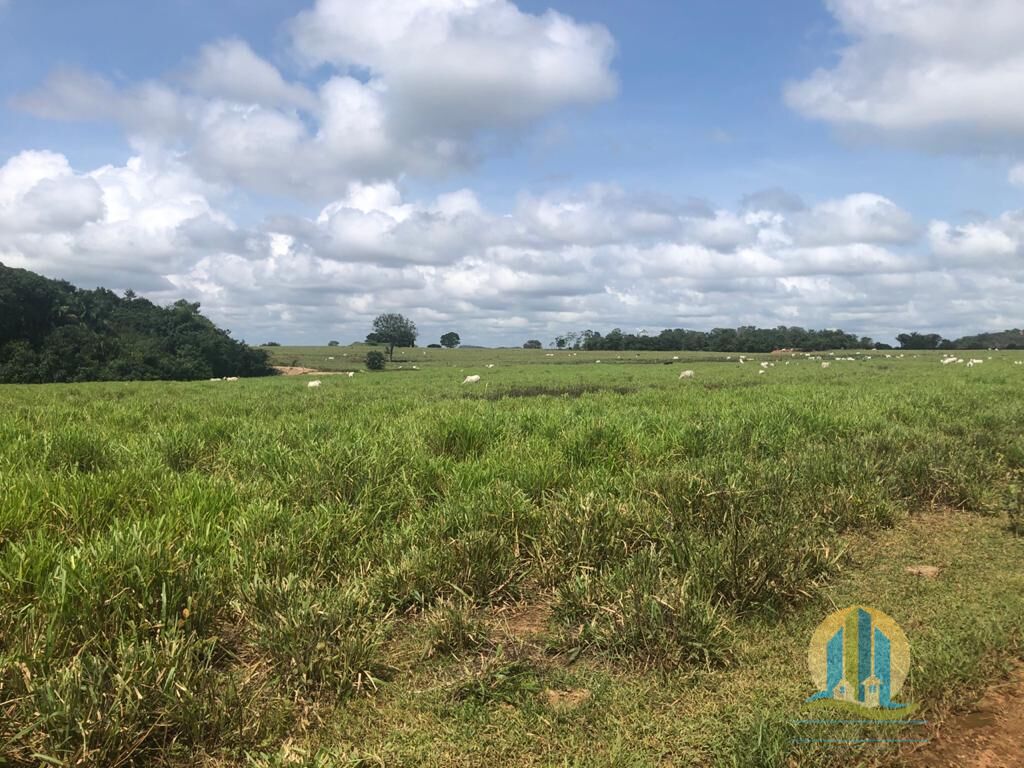 Fazenda em Barra do Ouro/Tocantins — Ref WF5H9P — Imagem 12