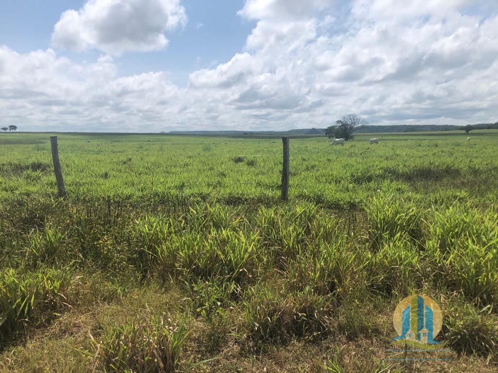 Fazenda em Barra do Ouro/Tocantins — Ref WF5H9P — Imagem 8