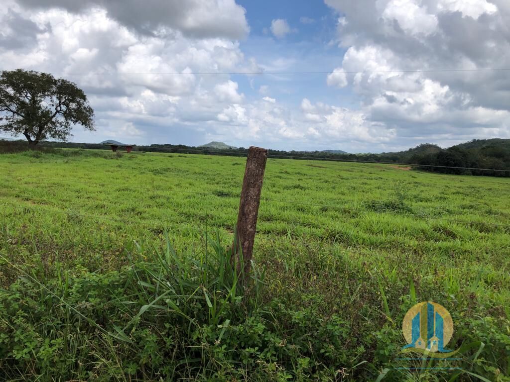 Fazenda em Barra do Ouro/Tocantins — Ref WF5H9P — Imagem 14