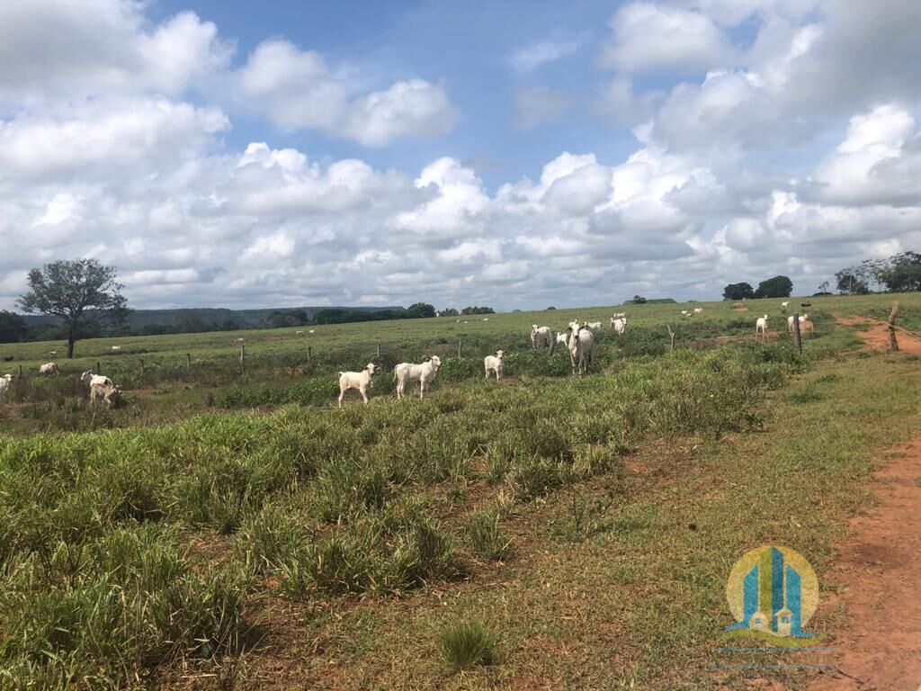Fazenda em Barra do Ouro/Tocantins — Ref WF5H9P — Imagem 2