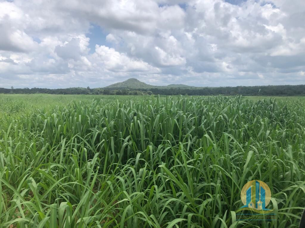 Fazenda em Barra do Ouro/Tocantins — Ref WF5H9P — Imagem 6