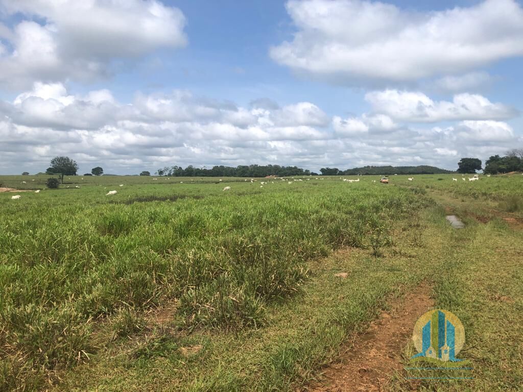 Fazenda em Barra do Ouro/Tocantins — Ref WF5H9P — Imagem 5