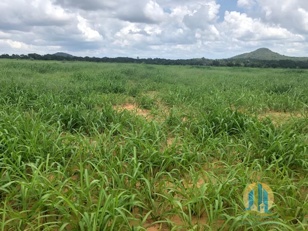 Fazenda em Barra do Ouro/Tocantins — Ref WF5H9P — Imagem 15
