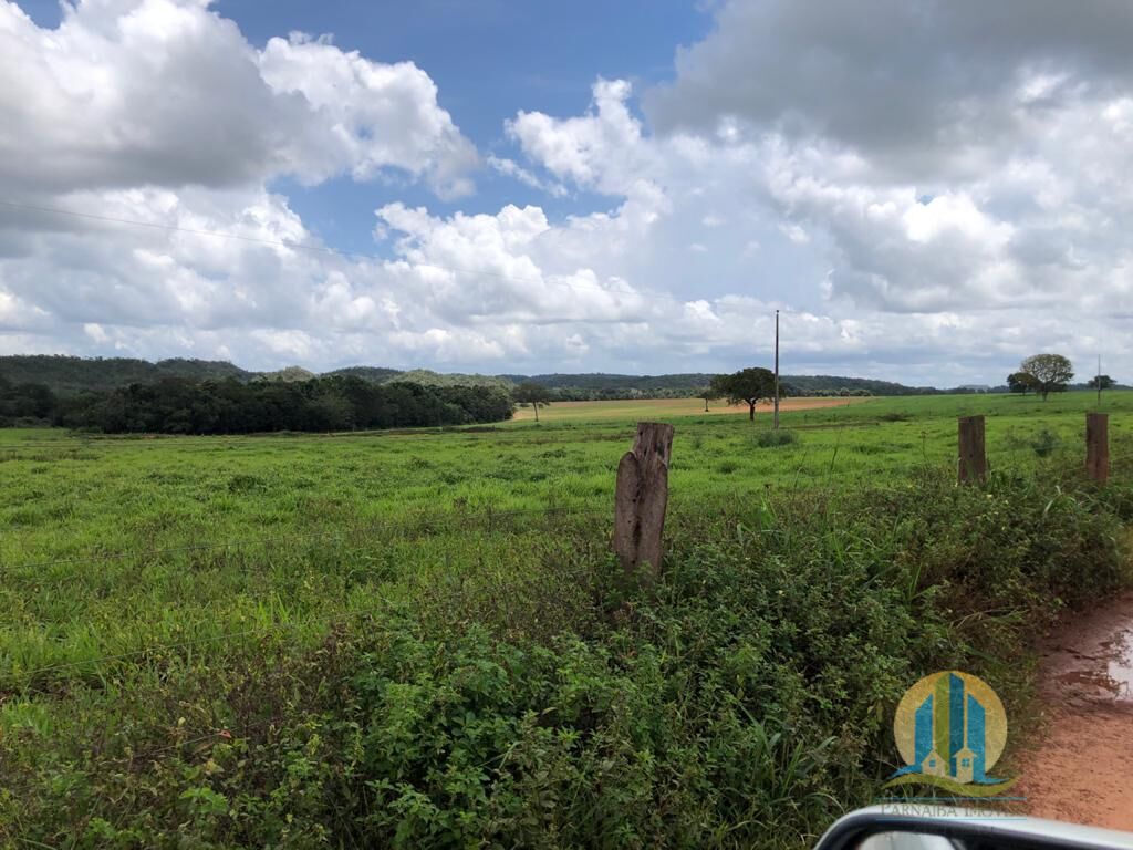 Fazenda em Barra do Ouro/Tocantins — Ref WF5H9P — Imagem 16