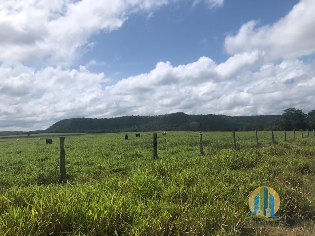 Fazenda em Barra do Ouro/Tocantins — Ref WF5H9P — Imagem 4