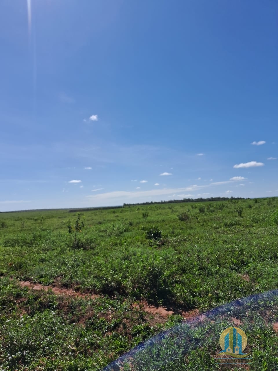 Fazenda em Cáceres/Mato Grosso — Ref F86TZR — Imagem 8