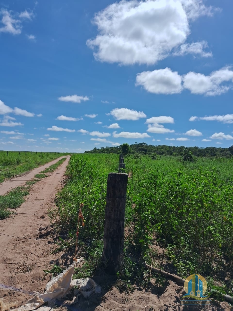 Fazenda em Cáceres/Mato Grosso — Ref F86TZR — Imagem 29