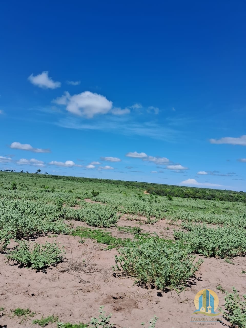 Fazenda em Cáceres/Mato Grosso — Ref F86TZR — Imagem 15