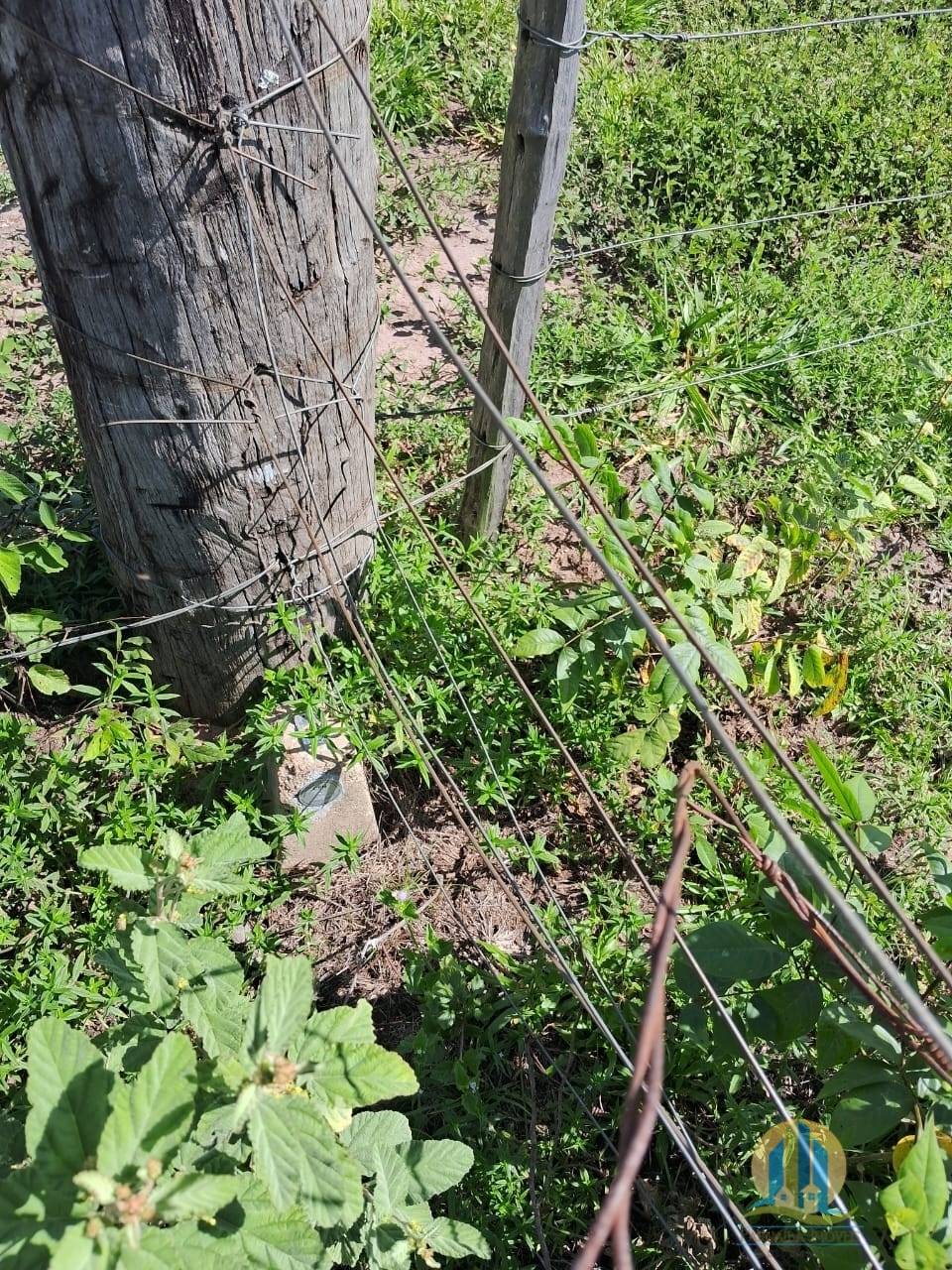 Fazenda em Cáceres/Mato Grosso — Ref F86TZR — Imagem 37