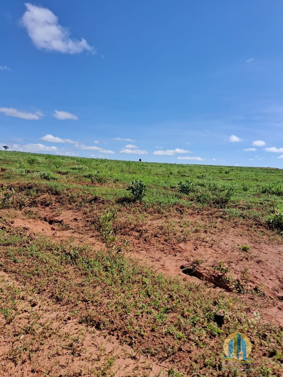 Fazenda em Cáceres/Mato Grosso — Ref F86TZR — Imagem 2
